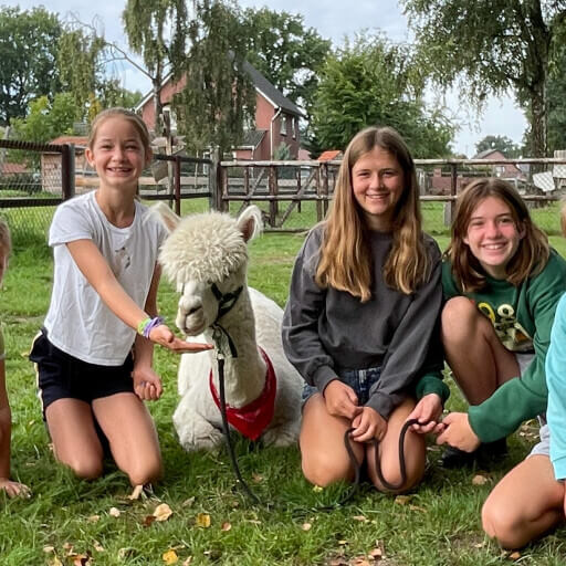 Dagkamp - AlpacaBoer(in) voor een dag